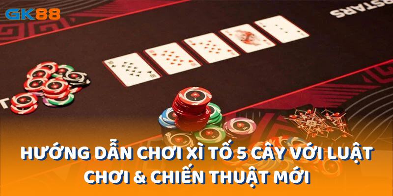 Hướng Dẫn Chơi Xì Tố 5 Cây Với Luật Chơi & Chiến Thuật Mới